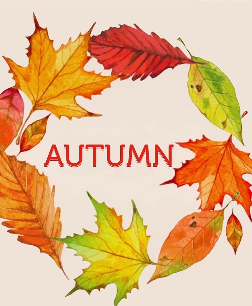 Infographic on skin care for every season_08