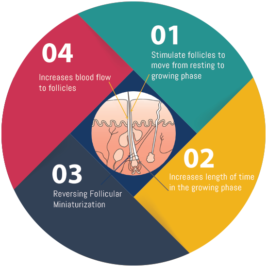 How Minoxidil Causes Hair Growth