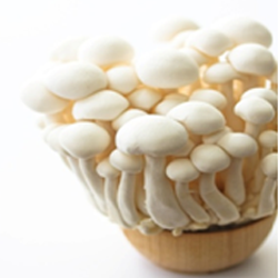 White Mushroom For DHT